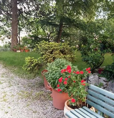 Appartamenti Nido D'Aquila Torbole Sul Garda Exterior photo