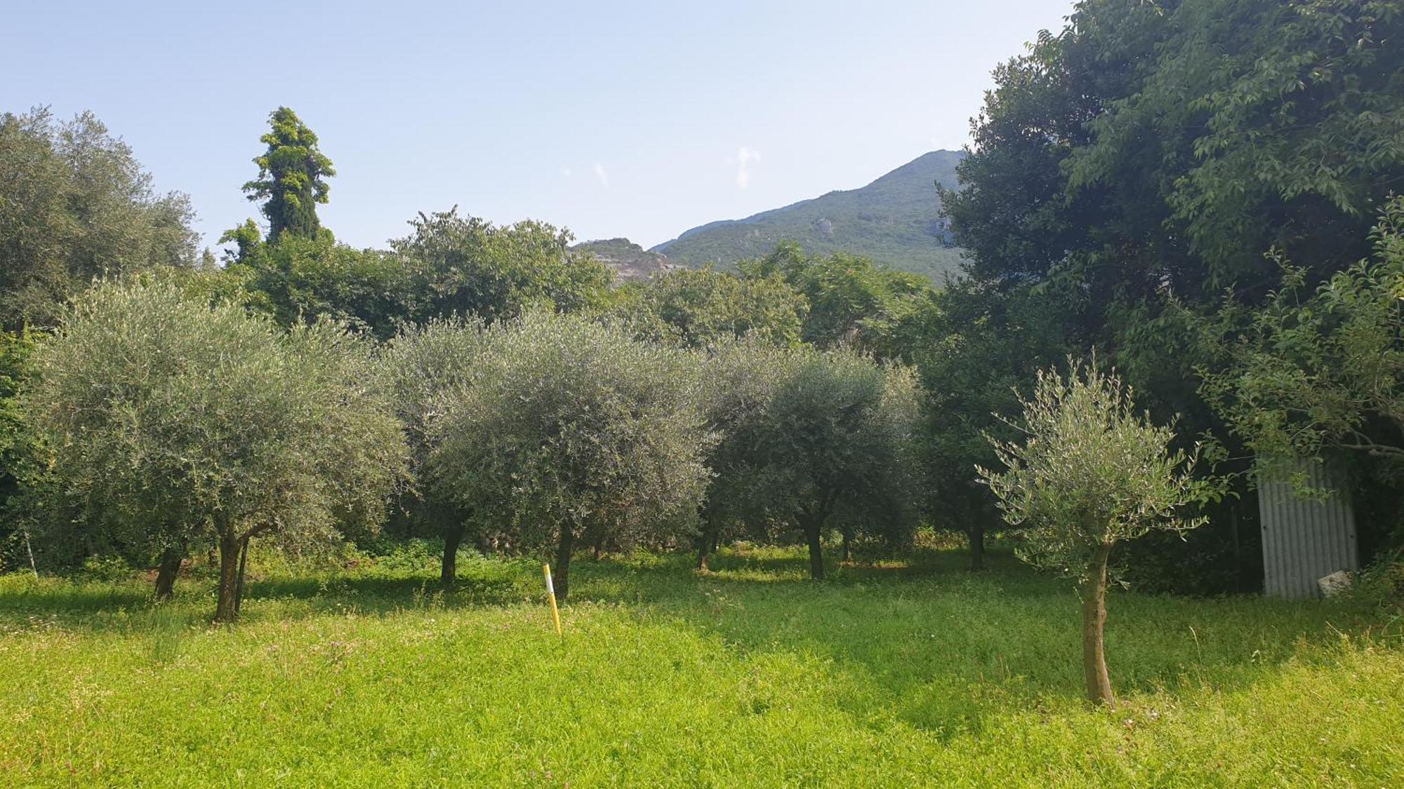 Nido D'aquila Torbole Sul Garda