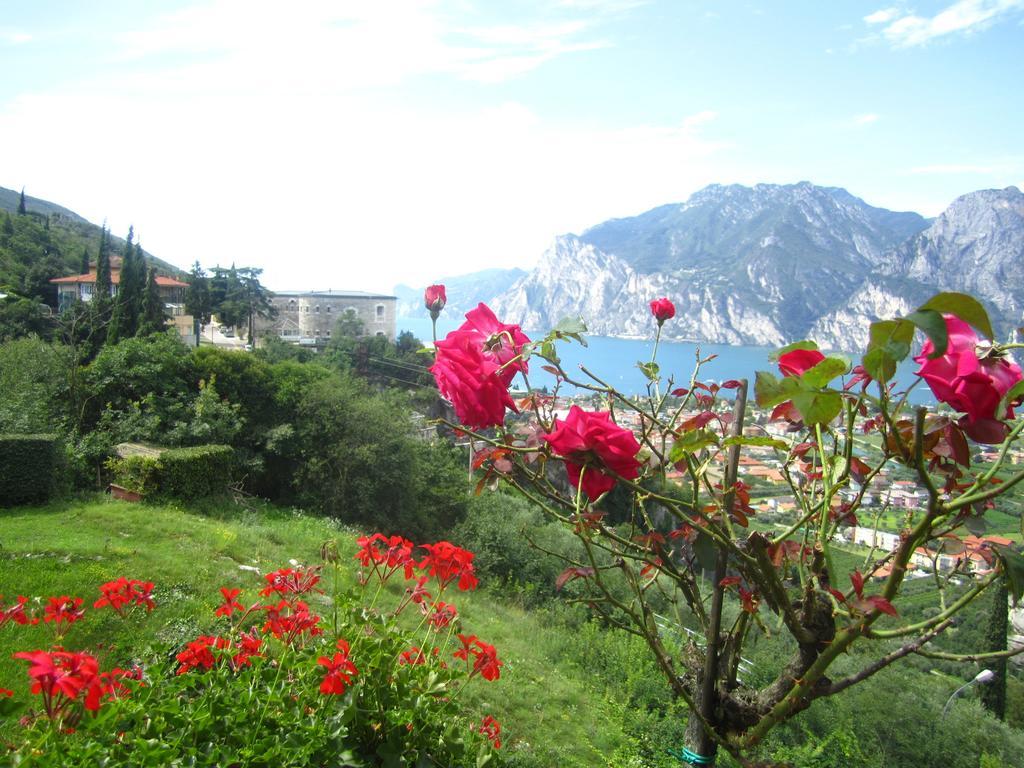 Nido D'aquila * Torbole Sul Garda